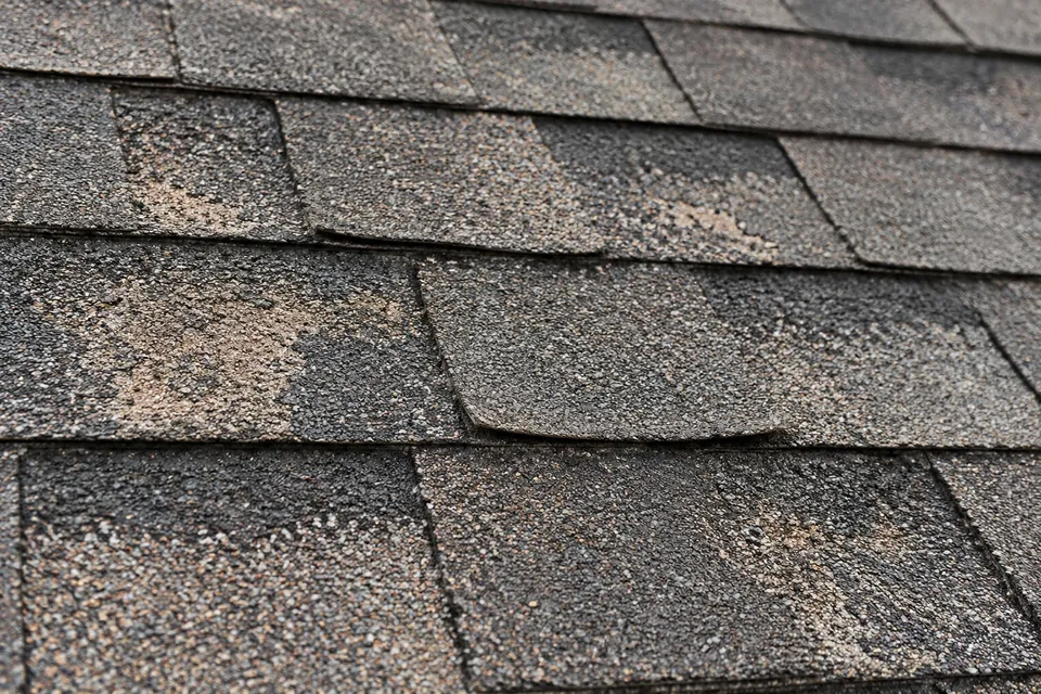 Illustration of weathered asphalt shingles with uneven granule coverage and a curled edge