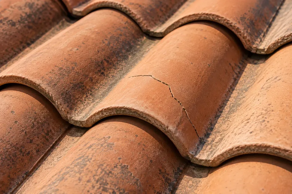 Illustration of a cracked terracotta roof tile among overlapping tiles