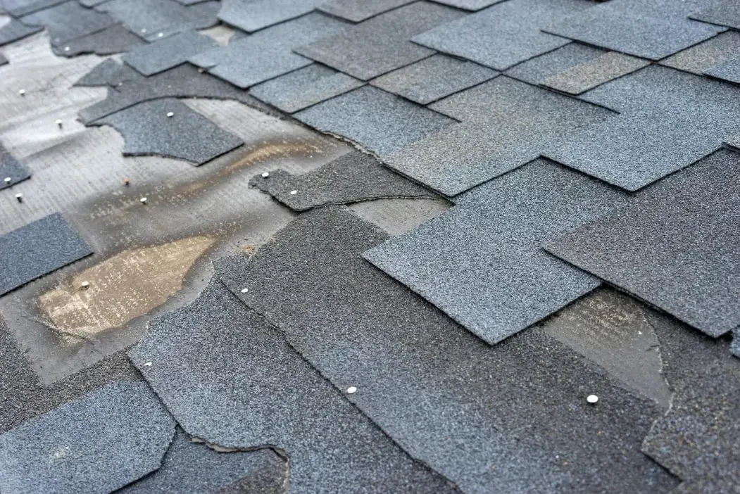 Missing asphalt shingle tabs exposing the layer below