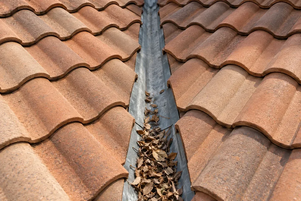 Illustration of brown leaves and twigs collecting in a metal valley between terracotta roof tiles